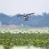 récoltes, agriculture, iot M2M