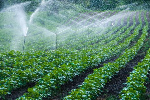 Quel système d'arrosage automatique pour mon jardin ?